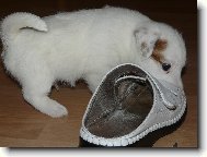 Pro� je ta bota v�t�� ne� j�