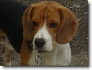 Billi�ek Olomouc 1rok