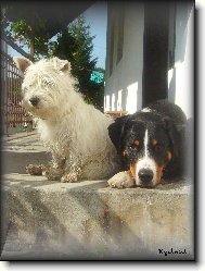 Angelo Novaboon Paradise & Babette Pan�avsk� stezka