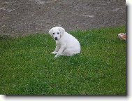 Kam te� sko��m