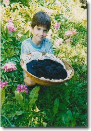 �t��ata velk�ho �ern�ho �pice C.. Black Re-Jan Moravia