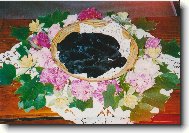 �t��ata velk�ho �ern�ho �pice C.. Black Re-Jan Moravia