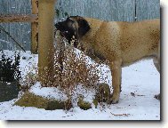  �t�n�  7  m�s�c�