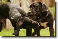 Rychle fo�!!! U� ho dlouho neudr��m ...