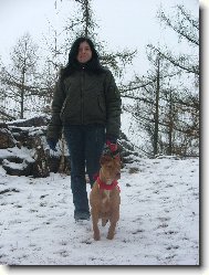 Americk� staford��rsk� teri�r