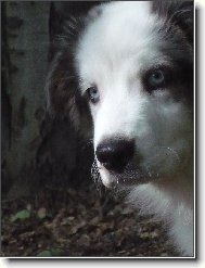 soust�ed�m se...neru�it