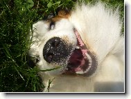 jsem ���pln� ne�kodnej