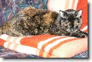 Moje ���a S�ra