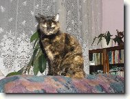 Moje ���a S�ra