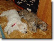 Po 3 hodin�ch ��d�n� se sestrou