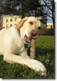 �vejk�n� klac�k� to je moje...