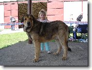 CHS z Polabsk�ch blat