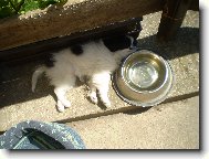 A� se vzbud�m napiji se