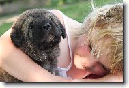 CHS z Polabsk�ch blat