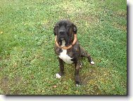 mou a bu�ty k v�ro��