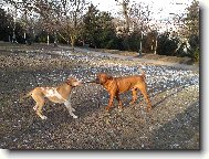 Gorb�k, s kamar�dem Artusem