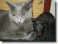 Leont�nka a Espritek :-)