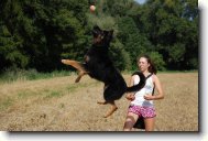 Sagar z Da�ick�ho z�ti��