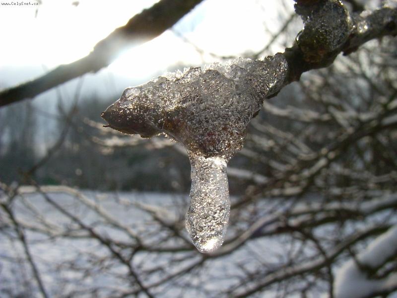 Foto: Zamrzla kapicka