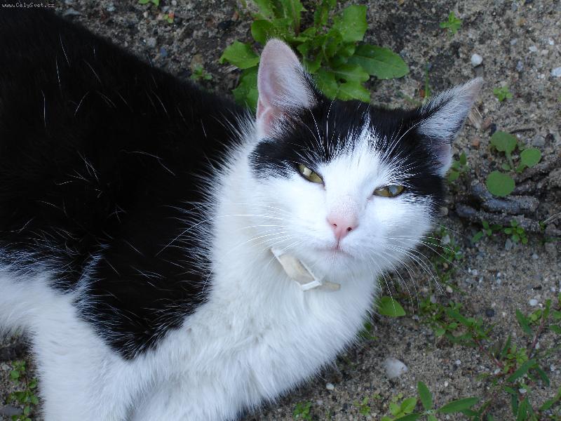 Foto: micinka