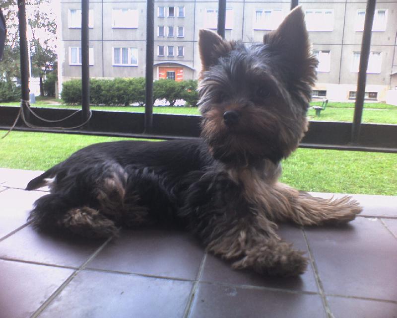Foto: Max�k