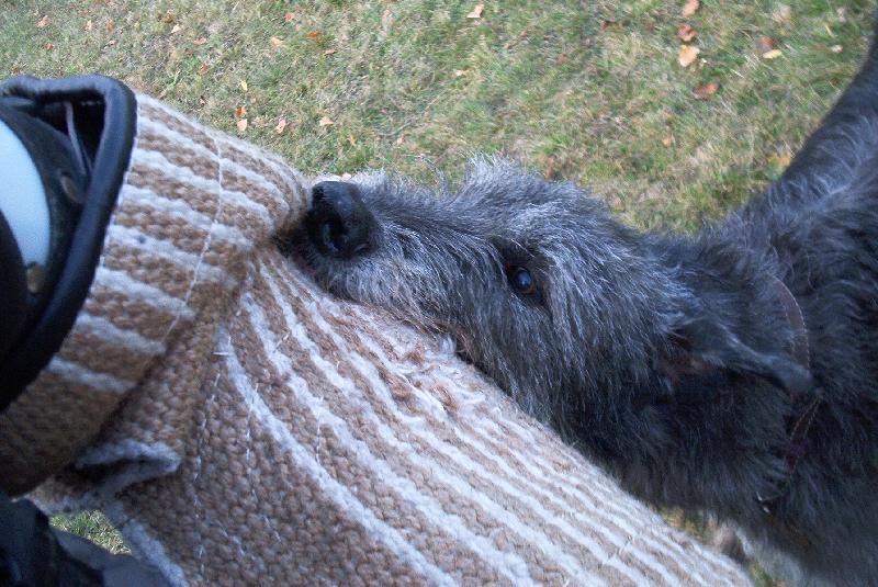 Foto: ANU�KA-OBRANA