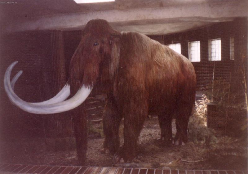 Foto: Mamut je�t� �ije!