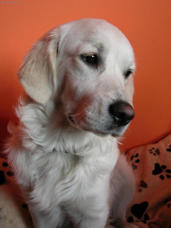 Foto: modelka Piri