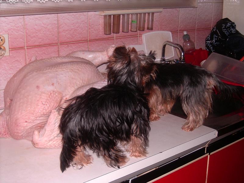 Foto: Hostina