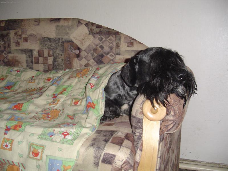 Foto: TOJE POHODI�KA