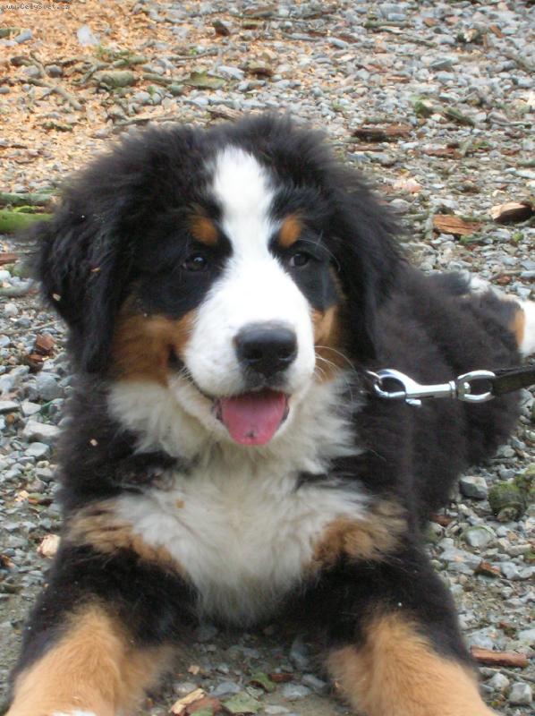 Foto: A u� se mnou nikdo nehne!