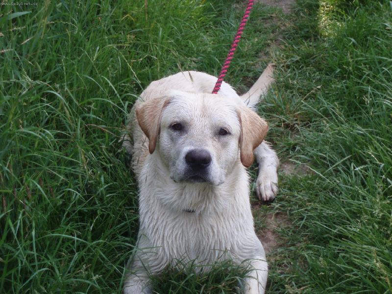 Foto: Bady