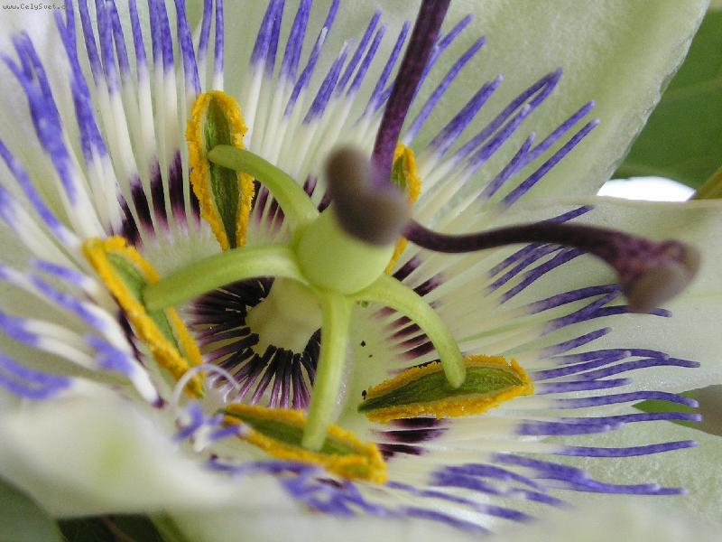 Foto: Harmonie-Tak mal� nebo tak velk� ...