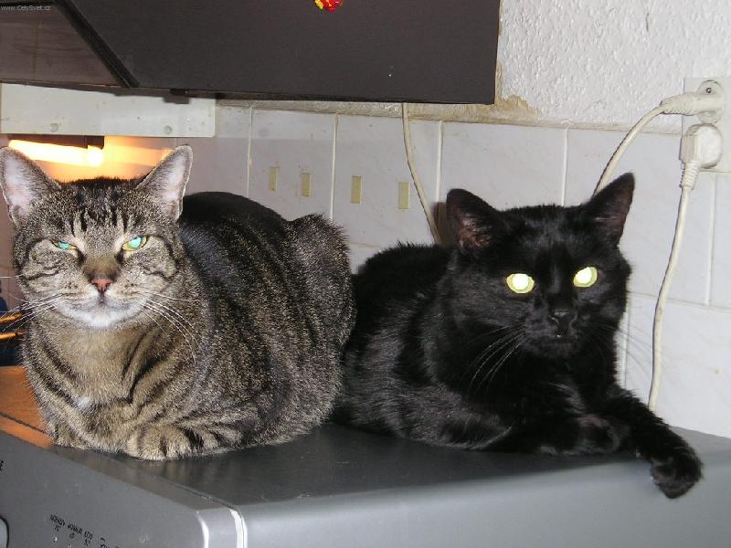 Foto: odpo�inek