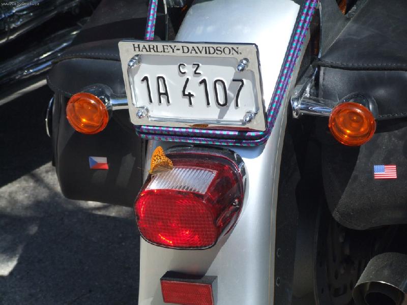 Foto: Harley Davidson v Chorvatsku