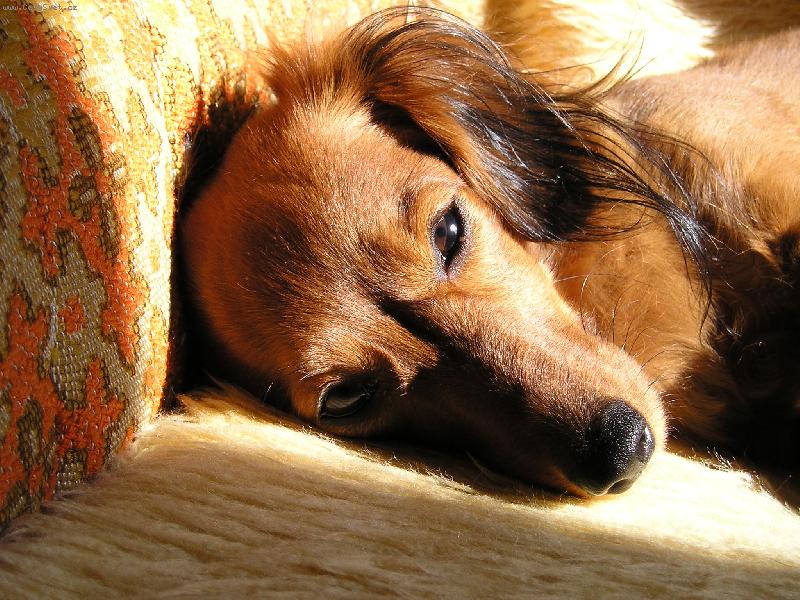 Foto: Nelinka