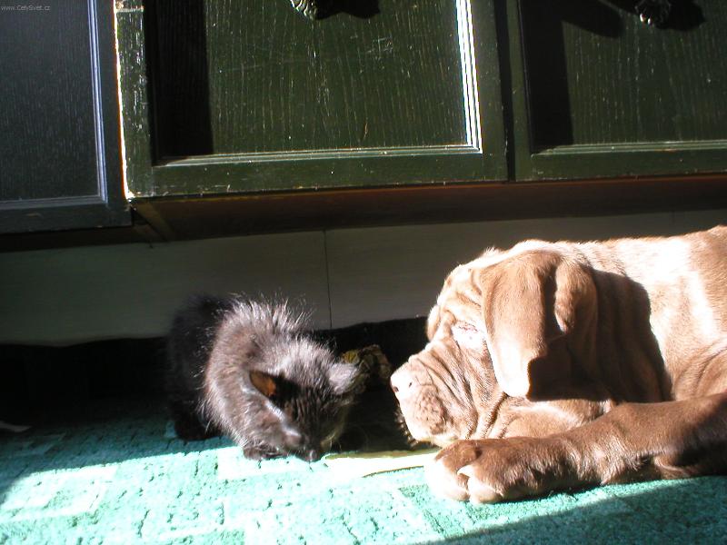 Foto: Fanny a Mimi