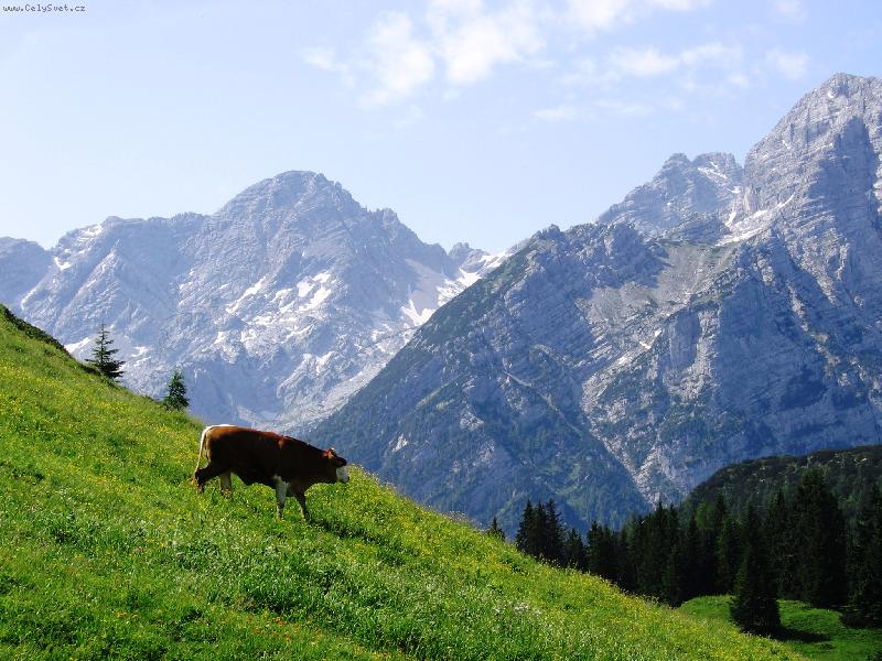 Foto: Milka kam se pod�v�