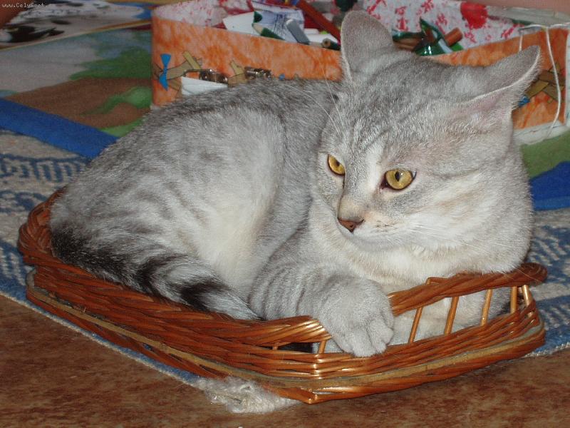 Foto: N� M��nek