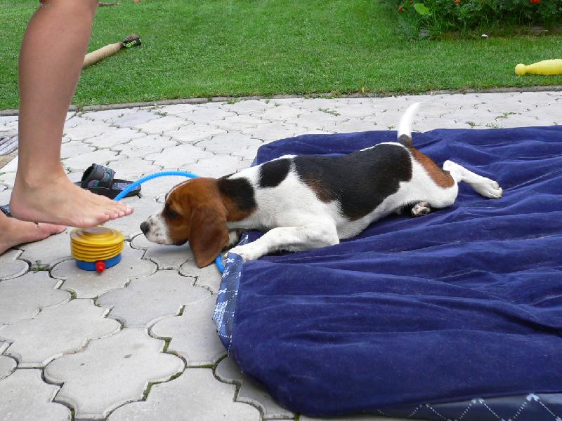 Foto: Ted�sek-Nem��u to nafouknout s�m???