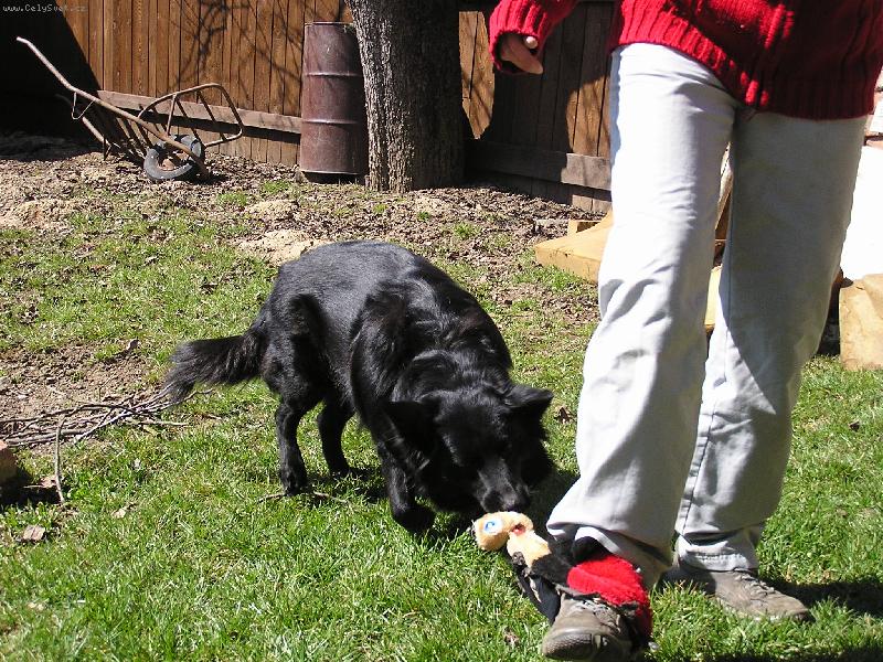 Foto: Ne�navn� lovec