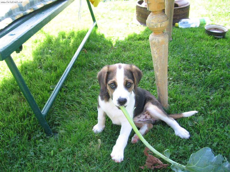 Foto: Meggy-modelka Meggy