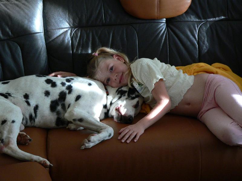 Foto: harmonie-souzn�n� d�t�te a psa