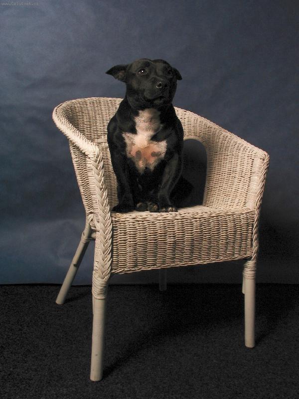 Foto: R��enka modelkou