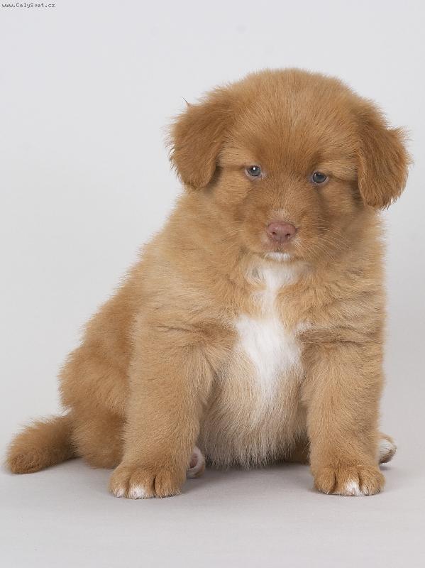 Foto: M� �t���tko-Barbara z Kot�rsk�ch luk