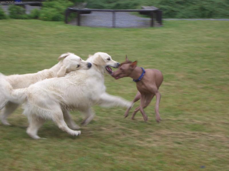 Foto: Jsem z gumy-Ty holky mi ale d�vaj