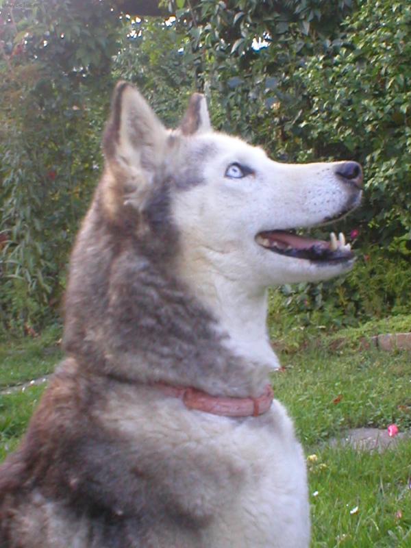 Foto: Elsi�ka-Na�e princezni�ka