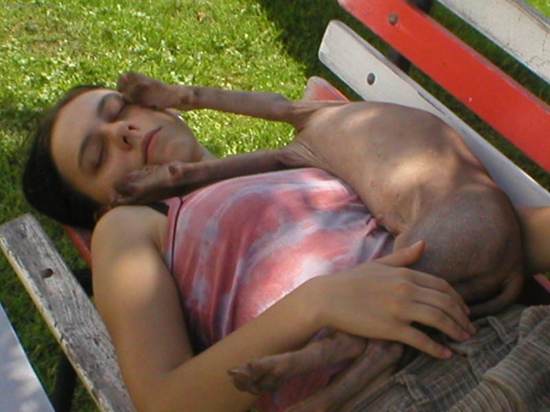 Foto: Siesta