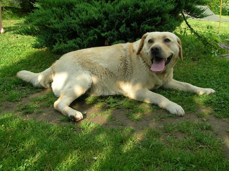 Foto: mil��ek rodiny