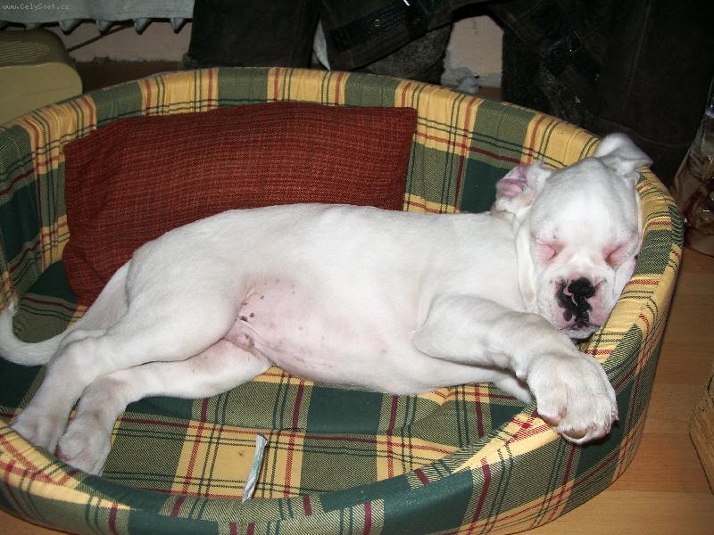 Foto: M�j nov� kamar�d